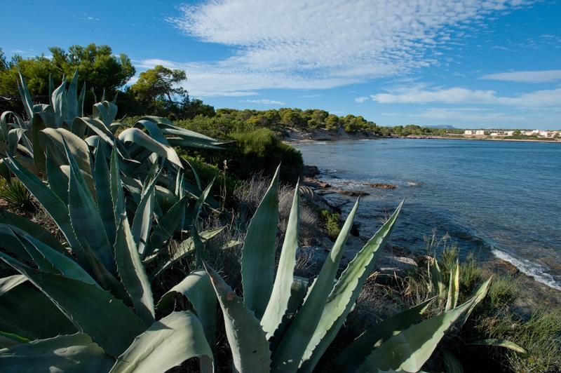 Casitas De Pescadores El Estanyol Exterior foto